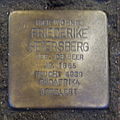 image=File:Stolperstein Cloppenburg Lange Straße 42 Friederike Heiersberg.JPG