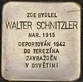 Stumbling block for Walter Schnitzler.JPG
