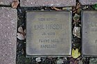 Stumbling Stones Emil Hirsch Bad Wildungen.jpg