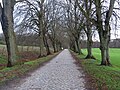 Cobblestone street Groß Volksitz to Nipmerow