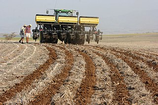 <span class="mw-page-title-main">Strip-till</span> Soil conservation technique