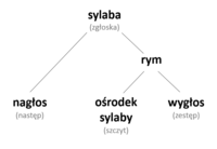 Struktura sylaby pl.png