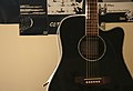 Takamine EG361SC