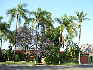 Talmadge, San Diego human settlement in United States of America