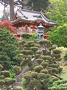 Le jardin japonais.