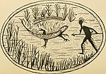 Thumbnail for File:The Algonquin legends of New England - or, Myths and folk lore of the Micmac, Passamaquoddy, and Penobscot tribes (1884) (14577440799).jpg