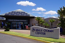 The Maui Ocean Center