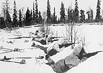 芬蘭滑雪部隊於北芬蘭作戰之情景，攝於1940年1月12日。