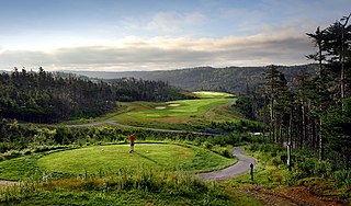 <span class="mw-page-title-main">The Wilds at Salmonier River Golf Club</span> Public golf course in St. Catherines, Newfoundland, Canada