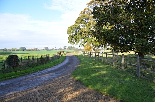 The drive to Culverthorpe Hall - geograph.org.uk - 5169322