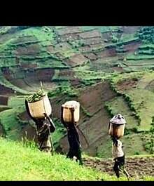 The scapes of Kigezi.