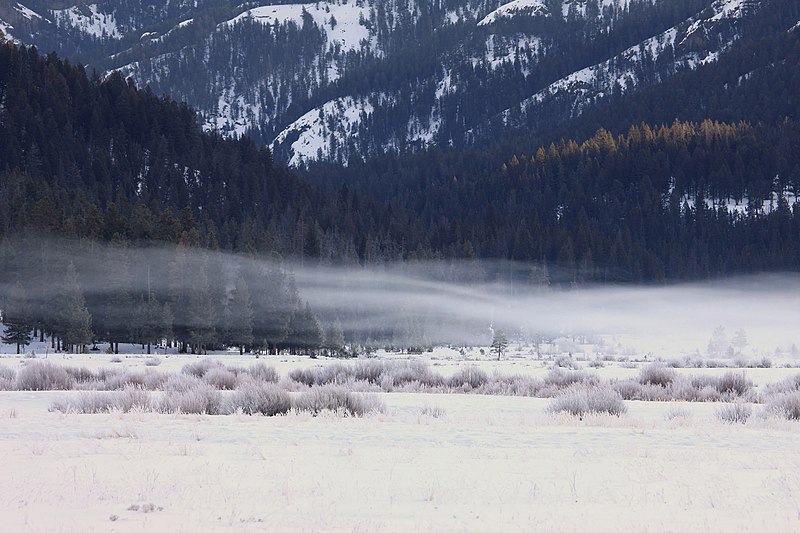 File:Thin fog at snow covered Round Prairie (8279fee0-99b6-4ab7-93cf-82c4ab32da86).jpg