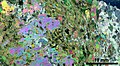 * Nomination Scanned image of thin section from Siilinjärvi apatite ore in cross polarised transmitted light. --Kallerna 17:22, 19 November 2019 (UTC) * Promotion Very beautiful. -- Ikan Kekek 04:45, 20 November 2019 (UTC)
