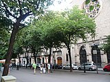 Català: Til·lers de la Rambla de Catalunya. Rambla de Catalunya. Eixample (Barcelona). ca:Tilia x europaea i ca:Tilia tomentosa. This is a a photo of a protected or outstanding tree in Catalonia, Spain, with id: MA-080193/0105-02-96 Object location 41° 23′ 43.92″ N, 2° 09′ 26.58″ E  View all coordinates using: OpenStreetMap