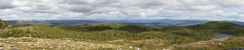 File:Tinn eastward panorama nordhaddefjellet 1059mosl krosshovda 1091mosl.JPG