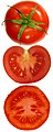 Semina in fructu solani lycopersici e regionibus placentiferis in interiori ovarii parte (quod in fructu biloculari est placentatio axillaris).