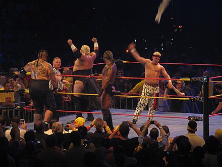 Christopher (right) taking part in the Hulkamania Let the Battle Begin Tour in 2009.