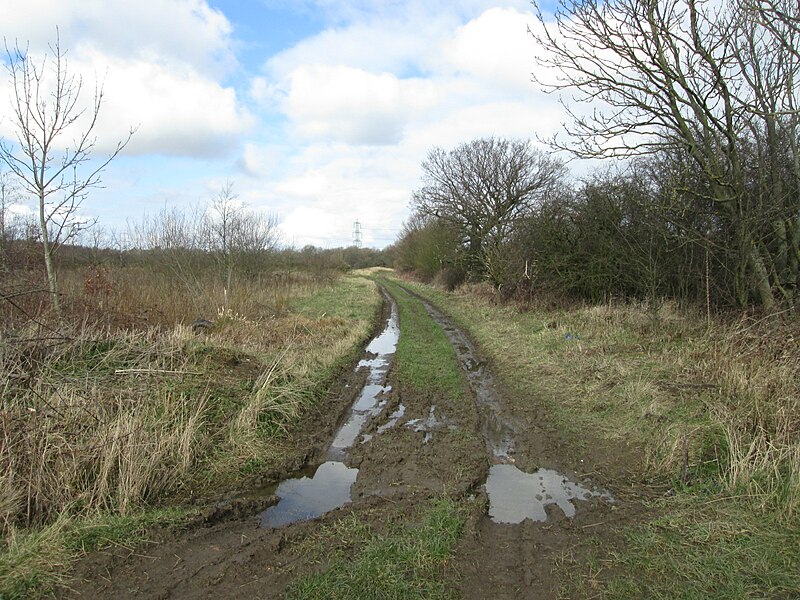 File:Track towards North Elmsall Common - geograph.org.uk - 4854267.jpg