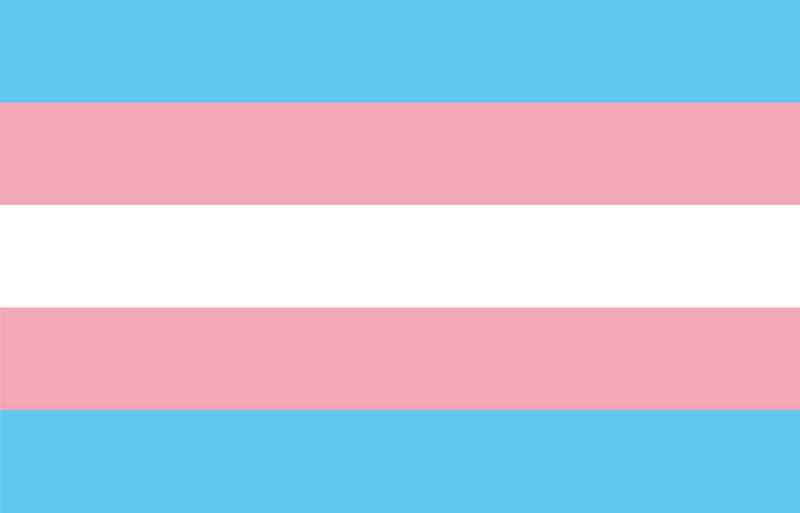 File:Trans harrotasunaren bandera.png