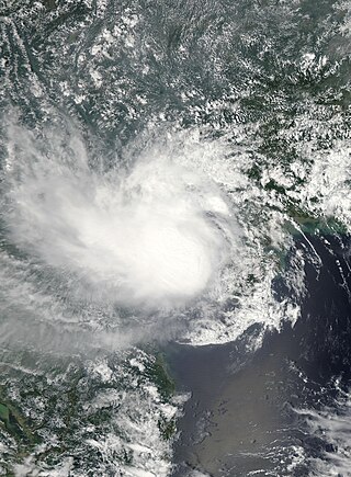 <span class="mw-page-title-main">Tropical Storm Mujigae</span> Pacific tropical storm in 2009