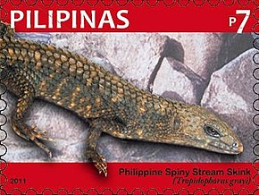 Описание изображения марки Tropidophorus grayi 2011 г., Филиппины. Jpg.