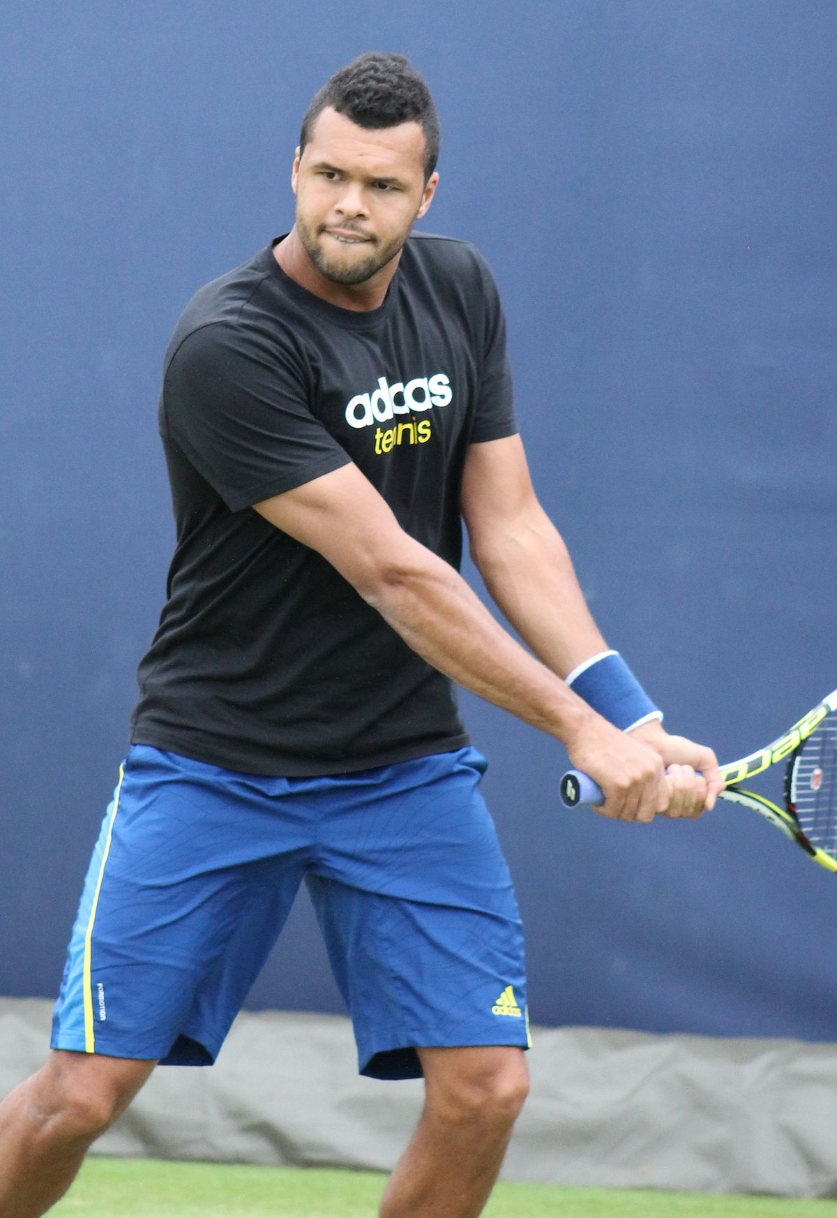 Jo-Wilfried Tsonga - Wikidata