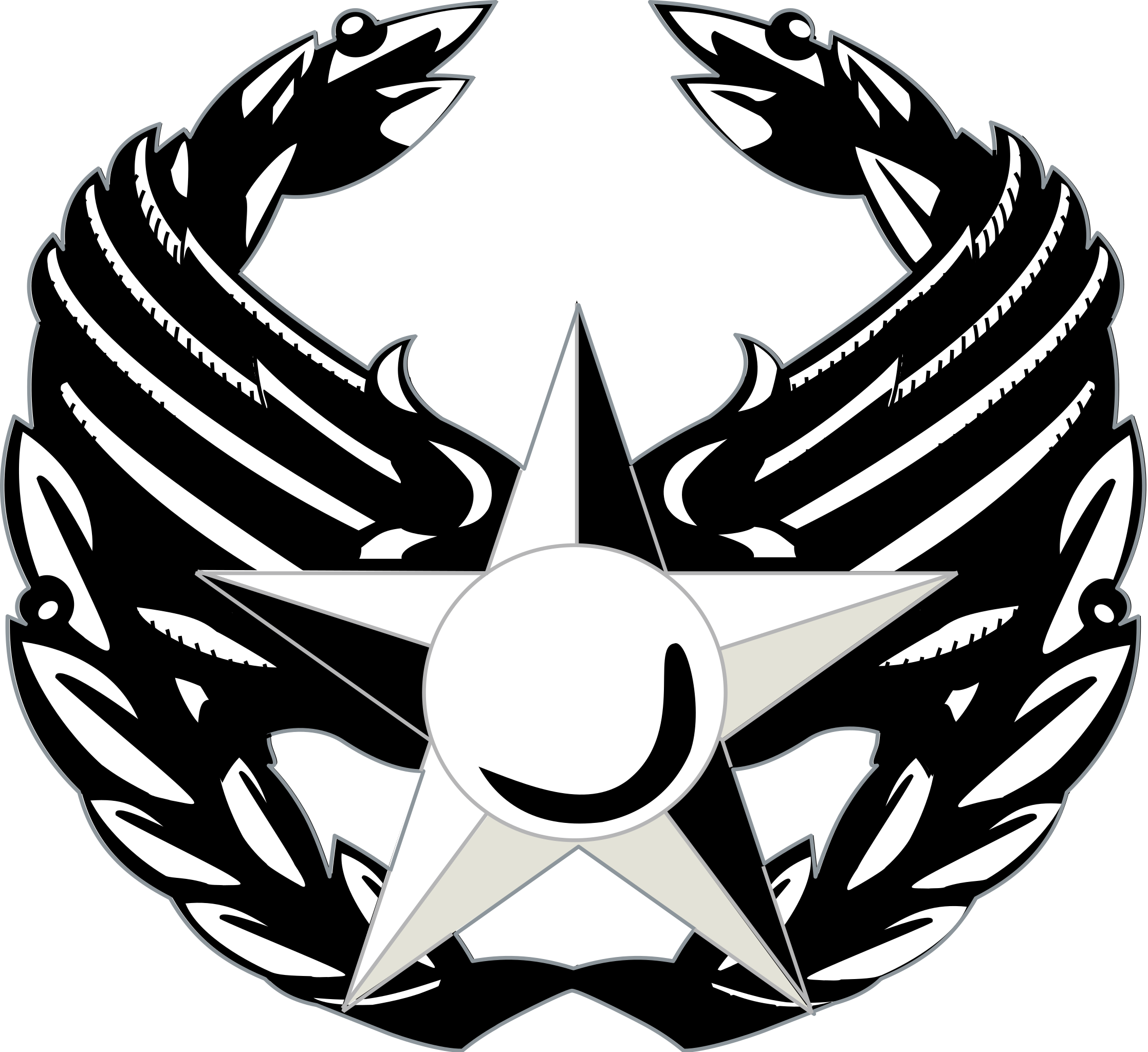 Военный символ z. USAF Insignia. Военные эмблемы. Эмблема авиации. Эмблемы США военные.