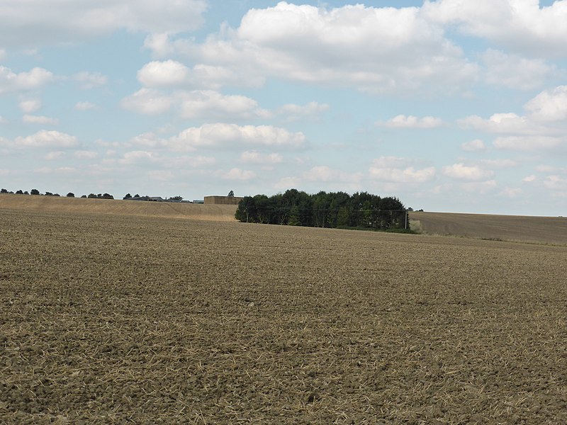 File:Unmapped woodland - geograph.org.uk - 4155777.jpg