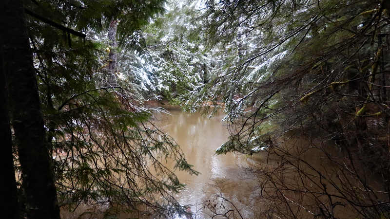 File:Unnamed stream in Gamble Creek Ecological Reserve.png