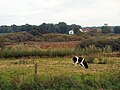 Urup herregård set fra Bryrupbanestien