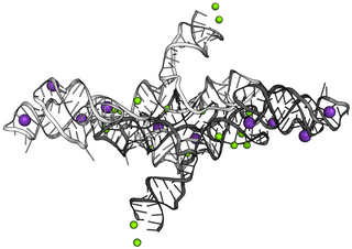 <span class="mw-page-title-main">VS ribozyme</span>