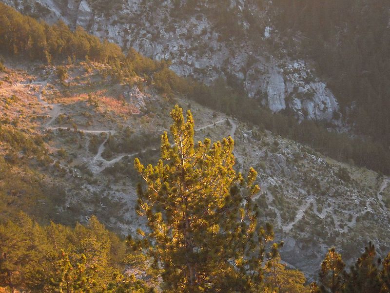 File:View of a path to the top of olympus mountain.jpg