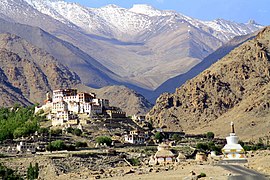 Grassland with mountains in Ladakh, India. Ladakh is the highest