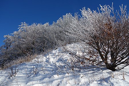 Snow and Ice coating on Vihorlat in November