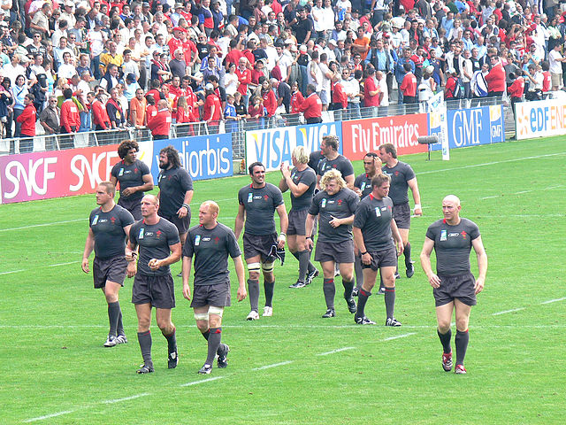 2007 en rugby à XV