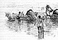 સાબરમતી નદીમાં પાણીના ગાડાઓ, ૧૮૯૦નો દાયકો.