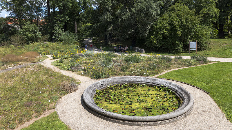 File:Wien 03 Botanischer Garten 01.jpg