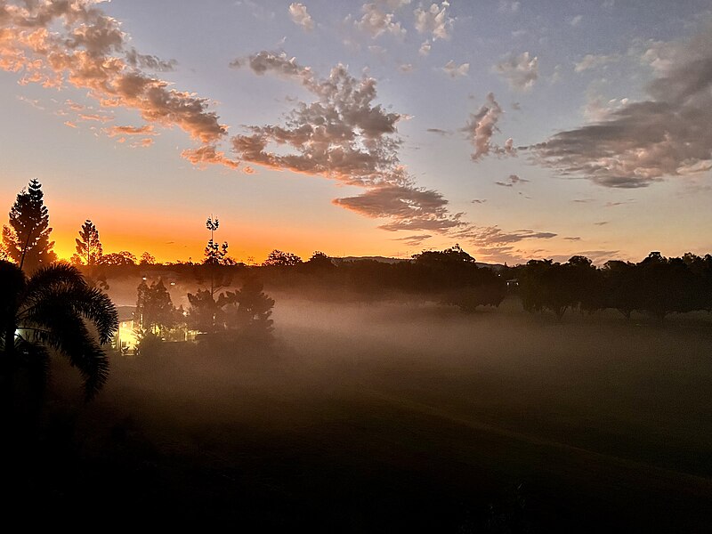 File:Winter fog in Sherwood, Queensland, August 2022.jpg