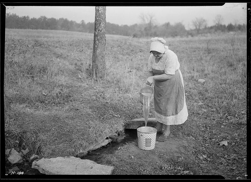 File:"Another view of Mrs. Wallace on farm near Norris townsite recently purchased by the TVA for experimental purposes." - NARA - 532801.jpg