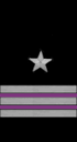 marine-ermet insignier