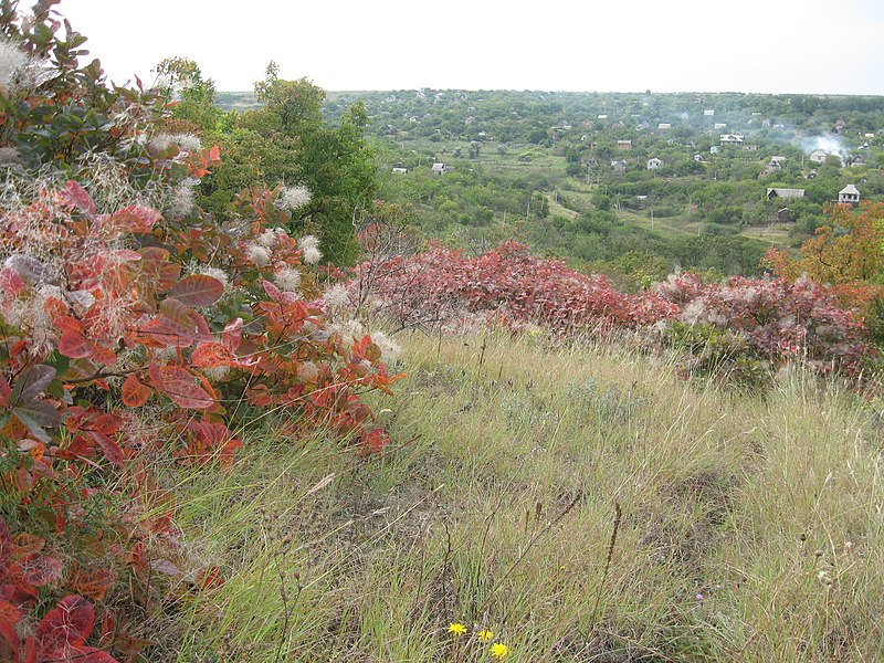 File:Приднестровье ,окресности с. Никольское. - panoramio.jpg