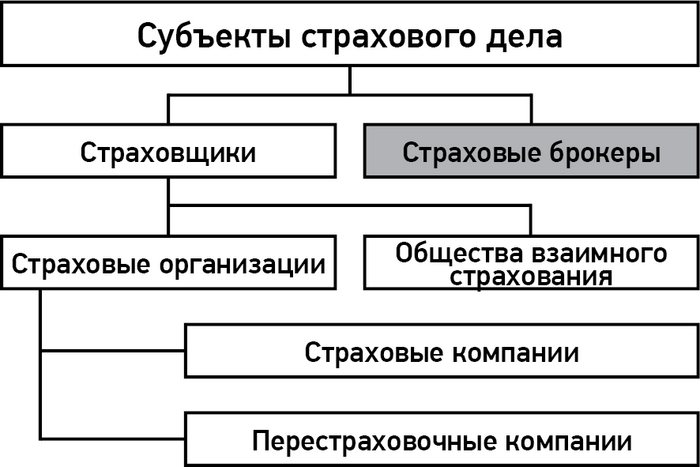 Страховой статус