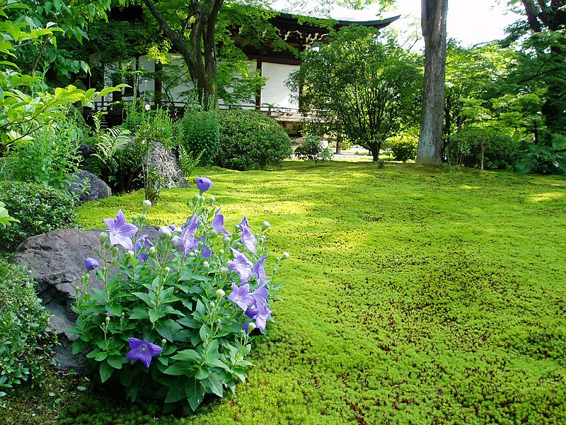 File:広隆寺 01.JPG