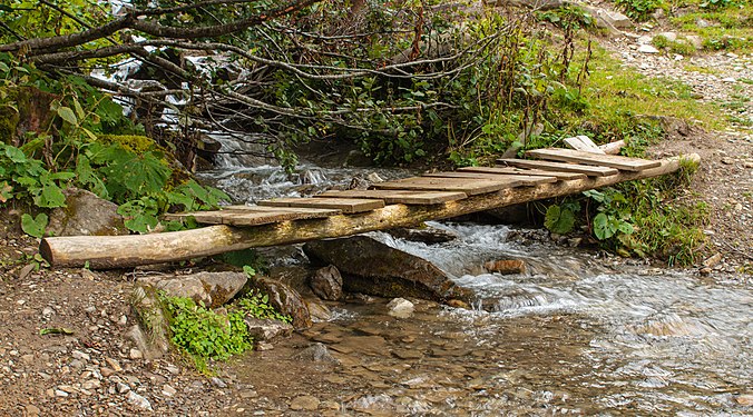 Wooden footbridge over the stream through the lower Walmendinger Alpe