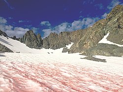 Watermelon snow on Mount Ritter in California 170828-FS-Inyo-PRW-001-MountRitter (36217539154).jpg