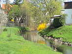 Spring on the river "Pleiße" in "Langenhessen"
