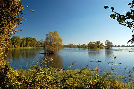 Oderbruch in Poland