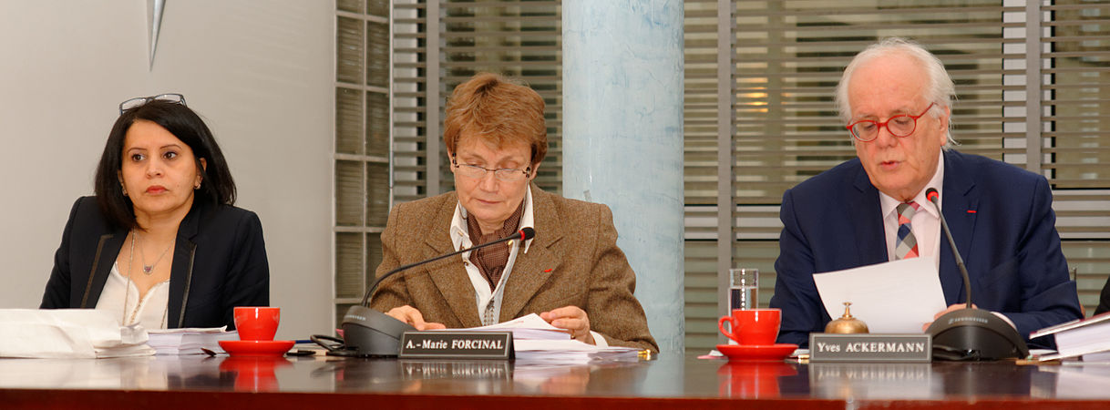 Samia Jaber, Anne-Marie Forcinal, Yves Ackermann.