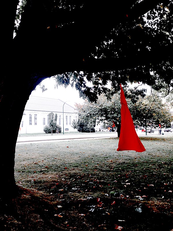 Art installation inspired by The REDress Project (Vancouver, Canada, National Day for Vigils for MMIW, 2016)