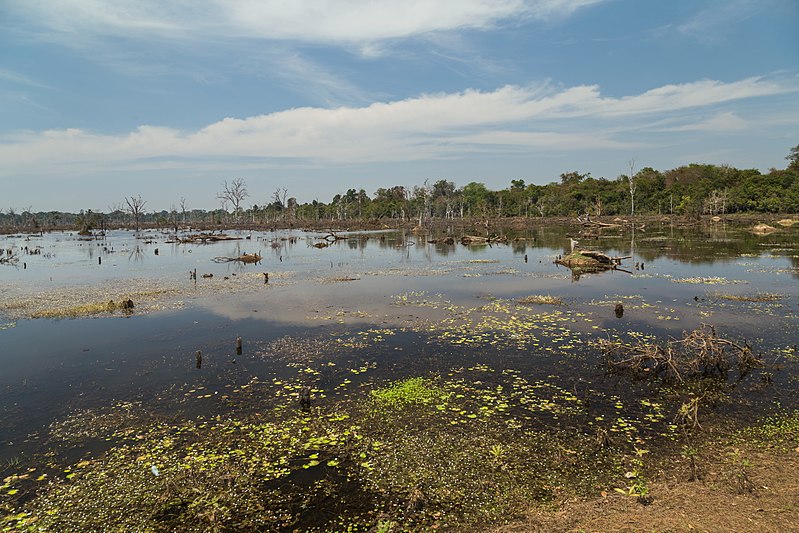 File:2016 Angkor, Jayatataka Baray (19).jpg